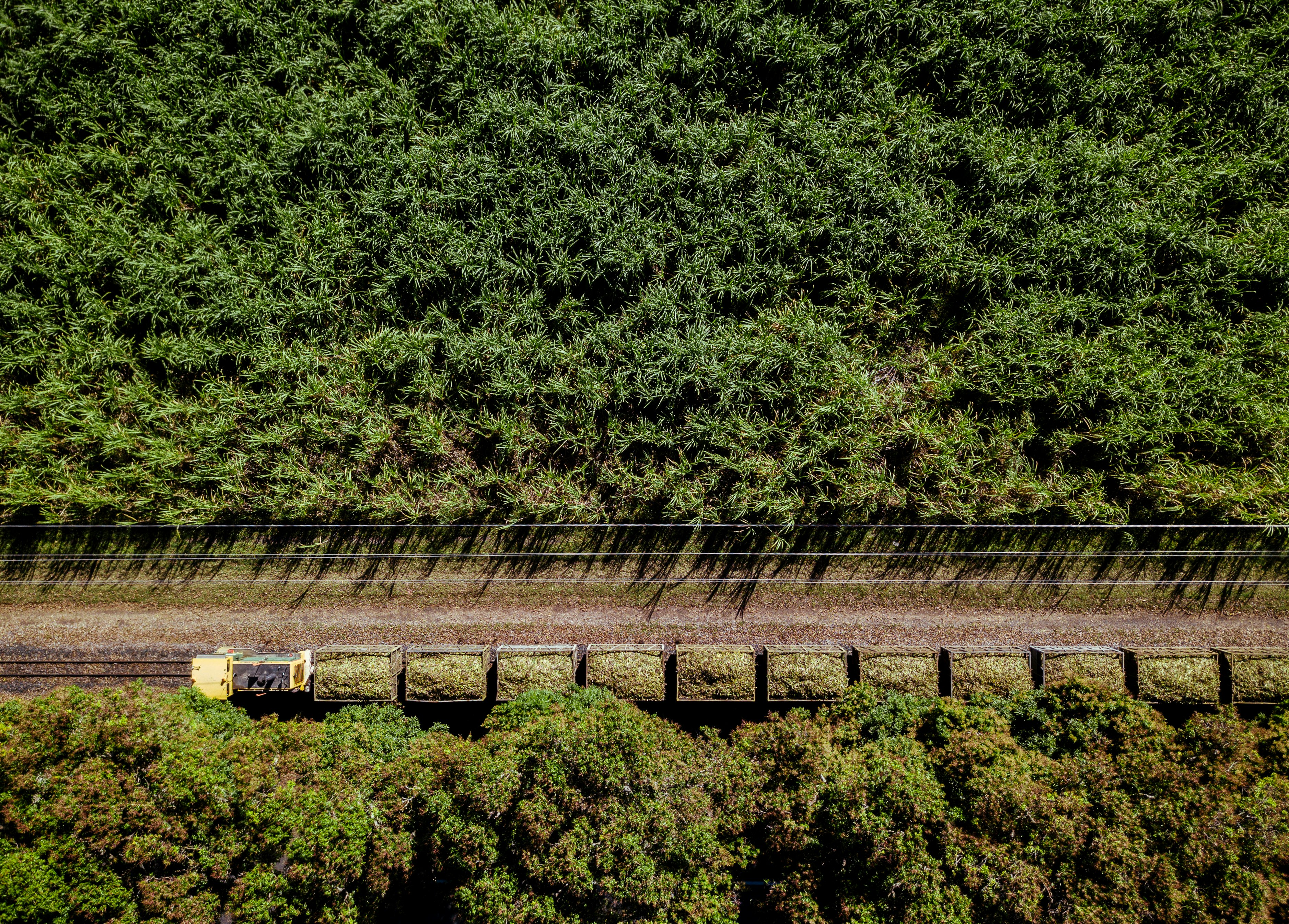 aerial photo of train in middle of jungle